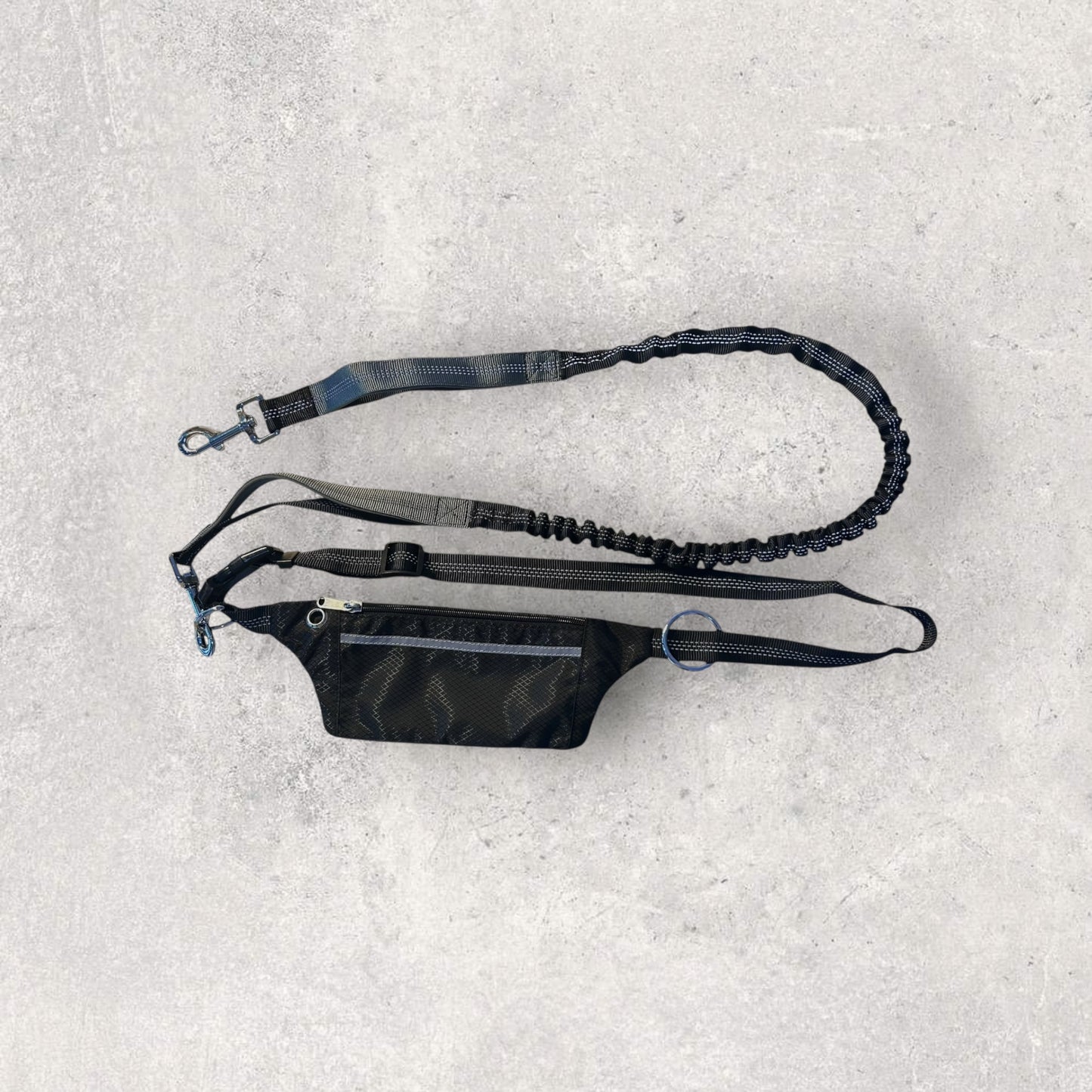 Hands free running leash with pouch