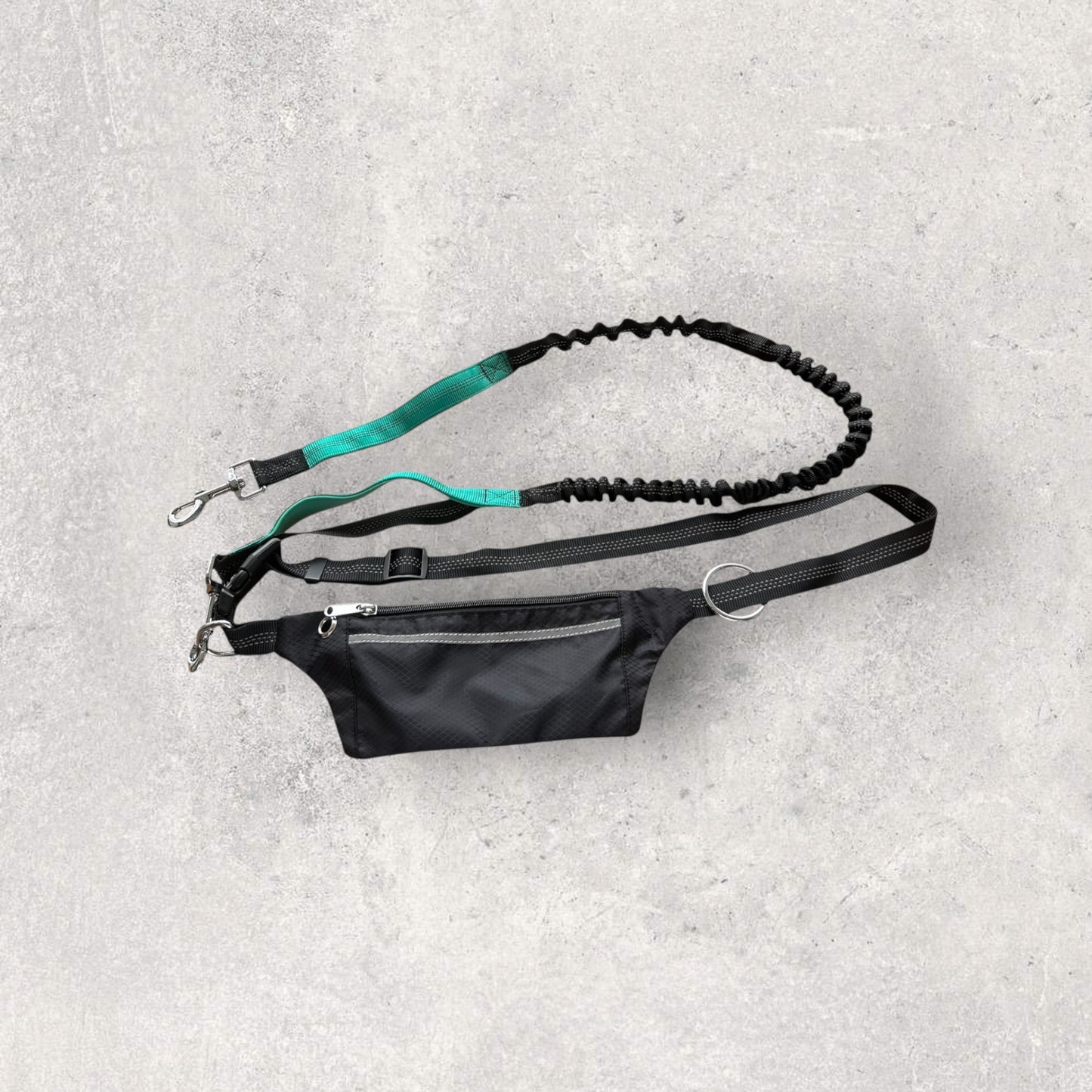 Hands free running leash with pouch