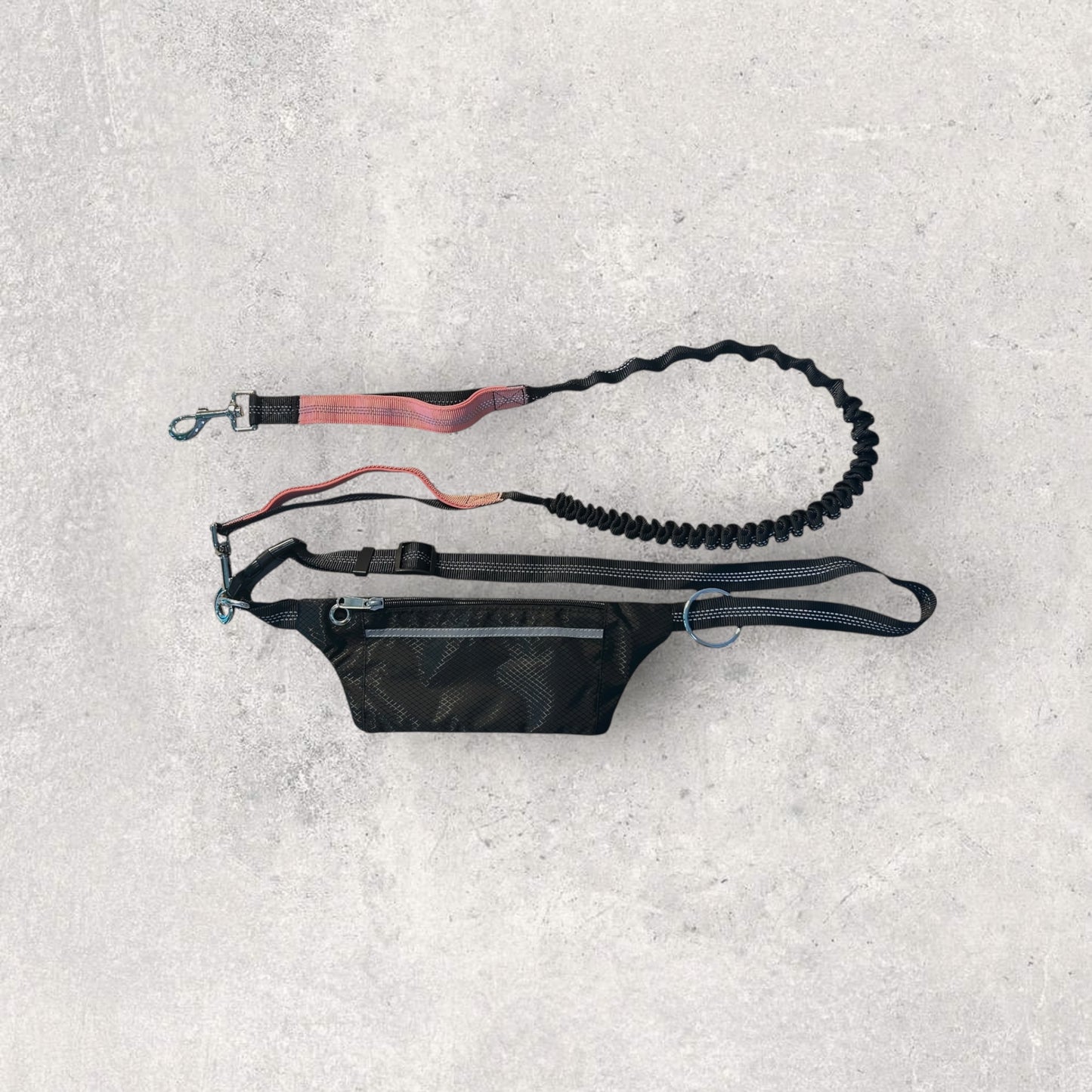 Hands free running leash with pouch