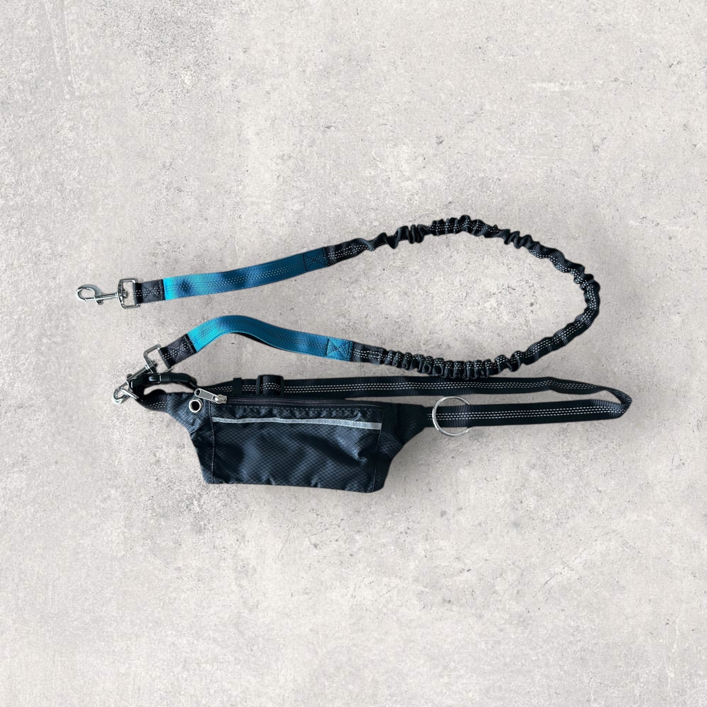 Hands free running leash with pouch