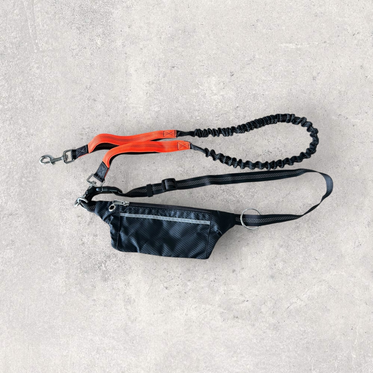 Hands free running leash with pouch