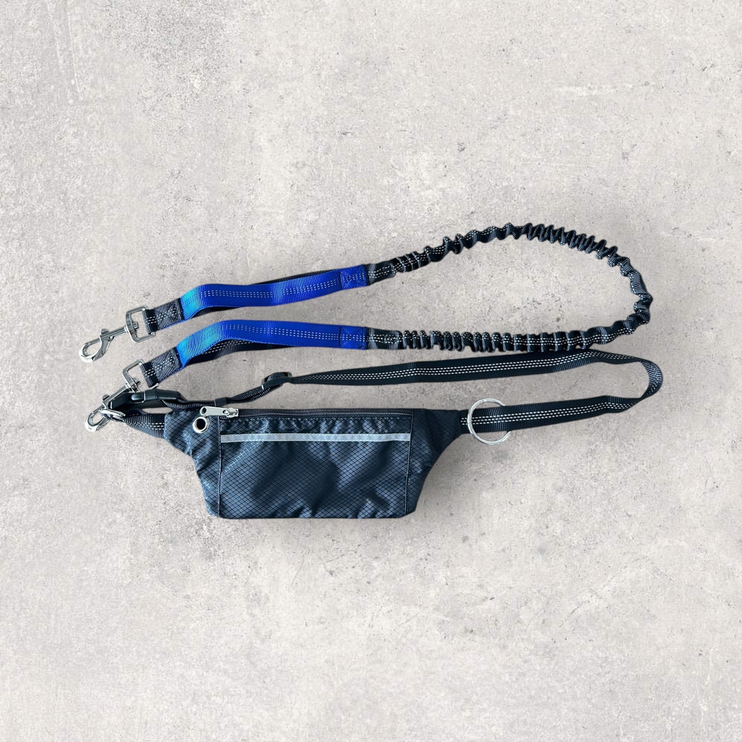 Hands free running leash with pouch