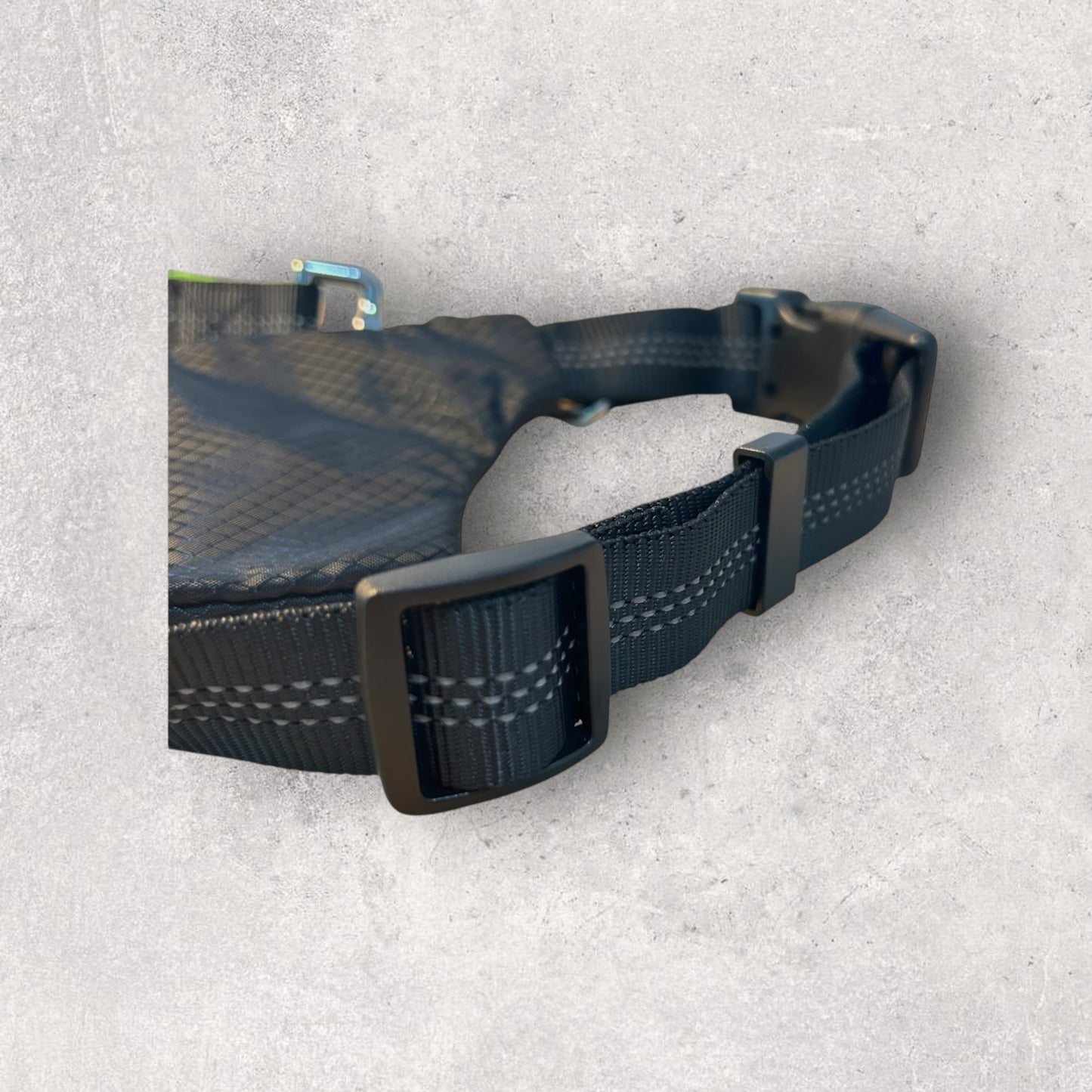 Hands free running leash with pouch