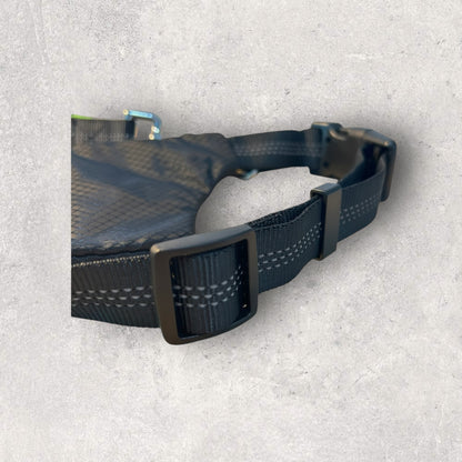 Hands free running leash with pouch
