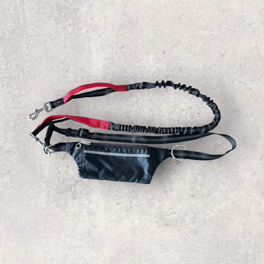 Hands free running leash with pouch