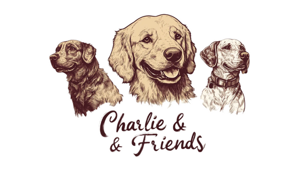 Charlie & Friends