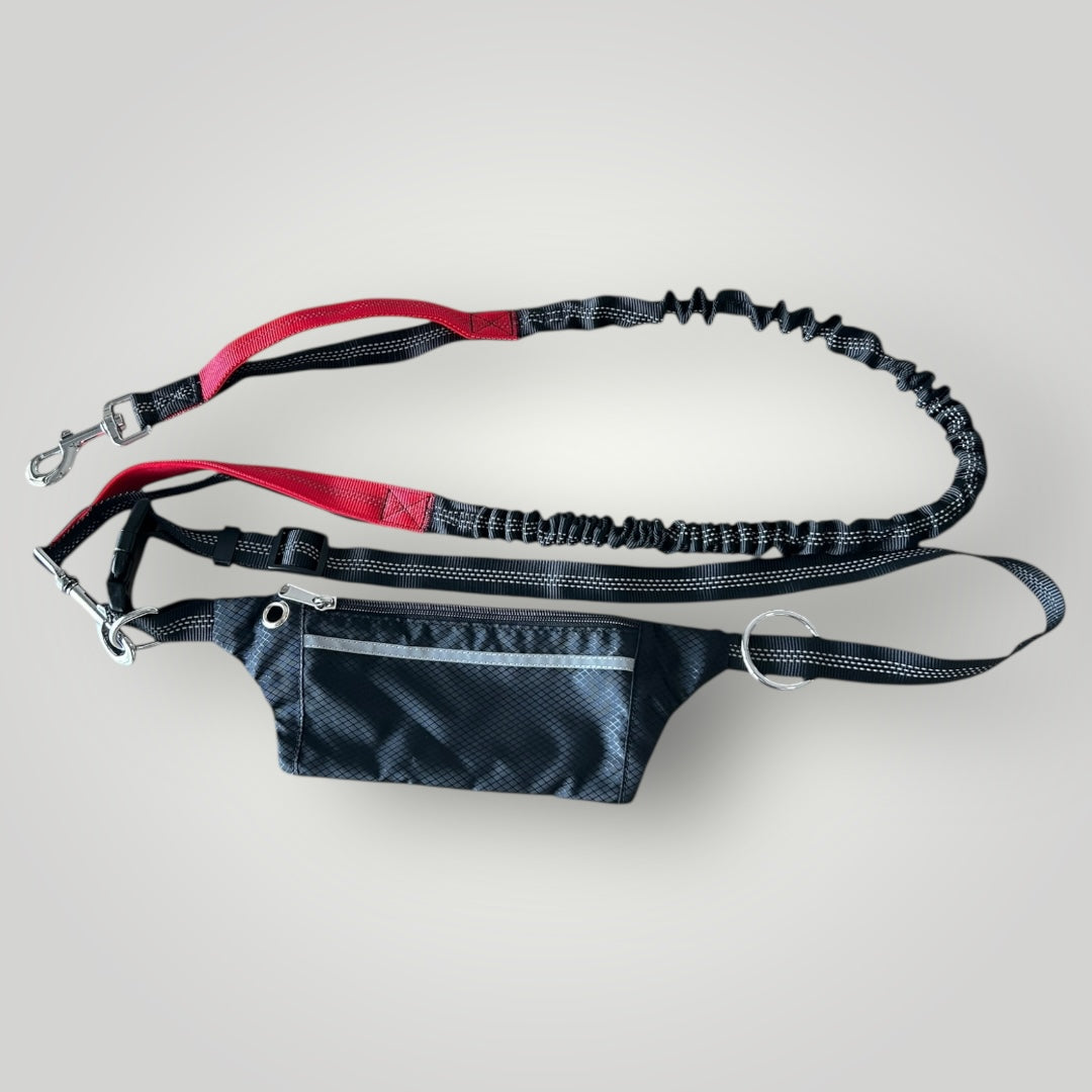 Hands free running leash with pouch