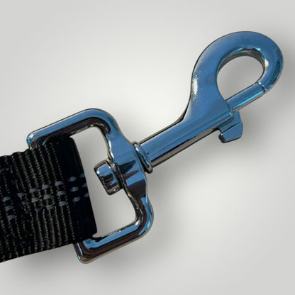 Hands free running leash with pouch