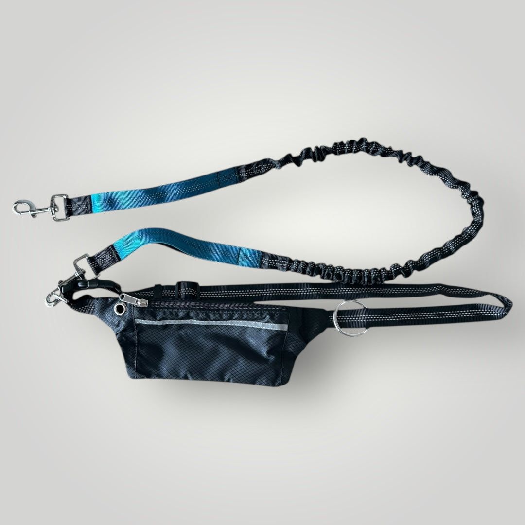 Hands free running leash with pouch