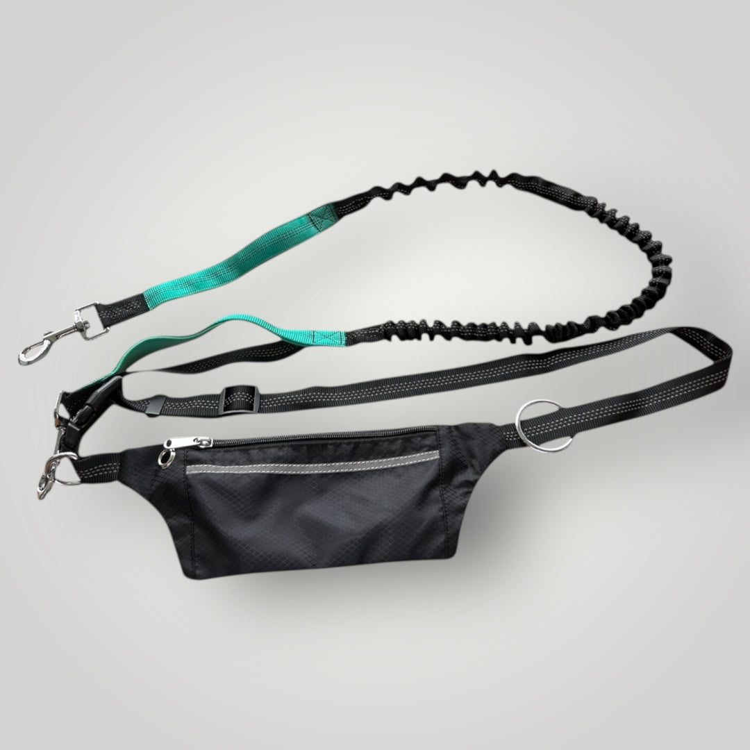 Hands free running leash with pouch