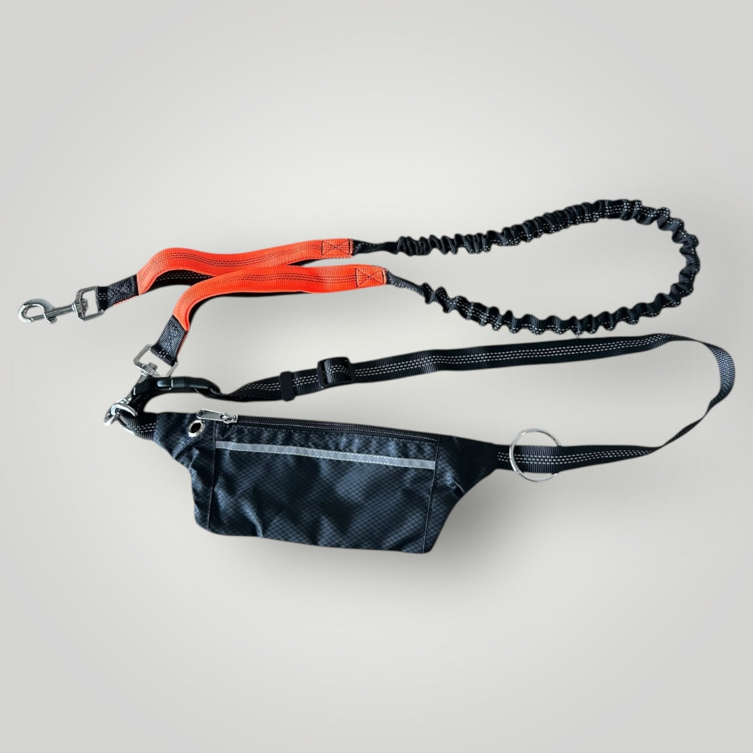 Hands free running leash with pouch