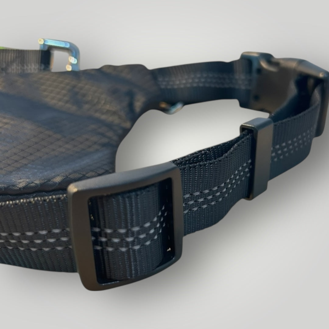 Hands free running leash with pouch