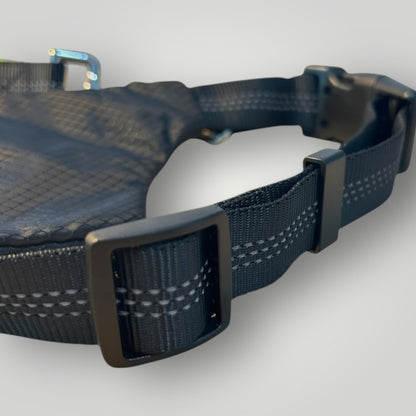 Hands free running leash with pouch