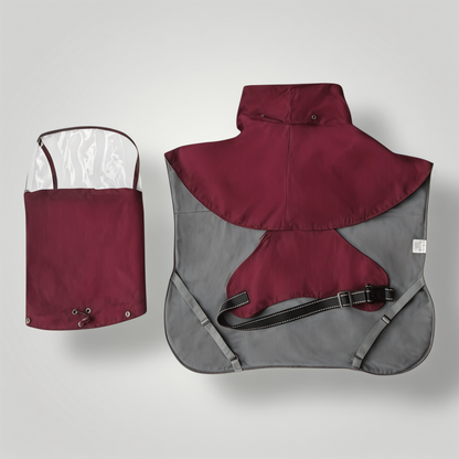 Premium Dog Raincoat with Detachable Transparent Head Cover