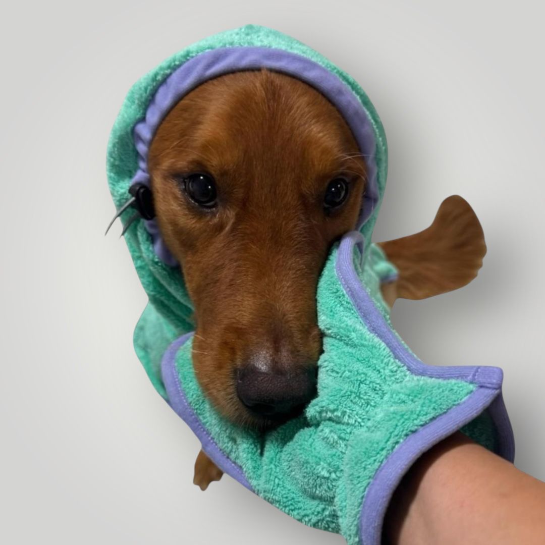 Soft Bathrobes and Mittens